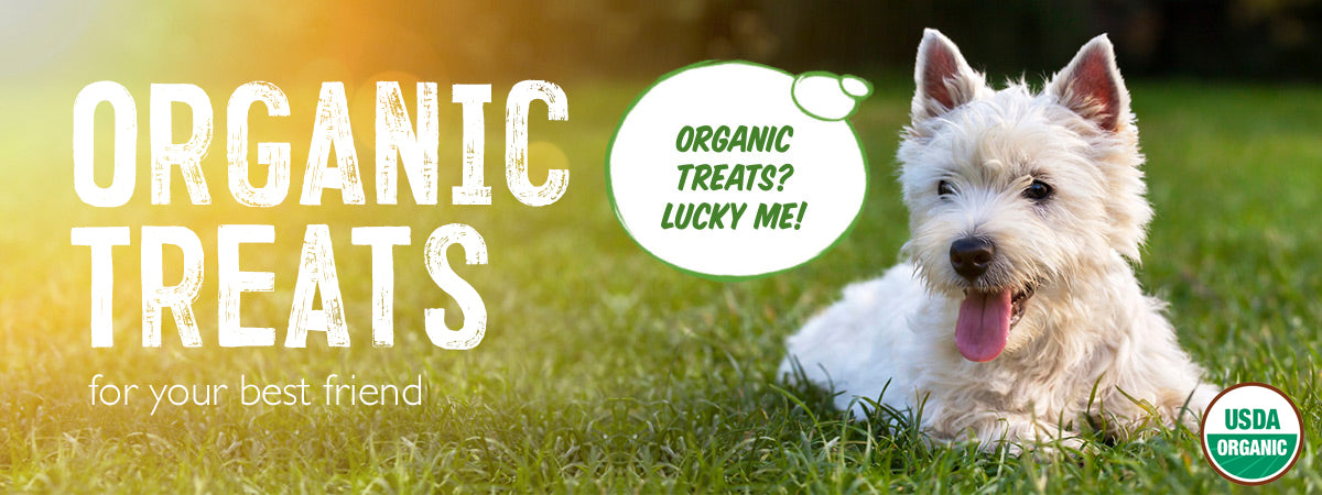 USDA Organic locally made dog treats for your best friend 