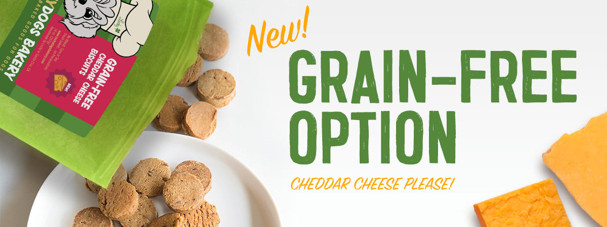 Grain-Free Cheddar Cheese Biscuits dog treats